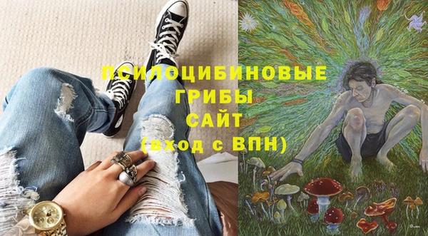 ALPHA PVP Краснослободск