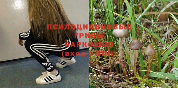 ALPHA PVP Краснослободск